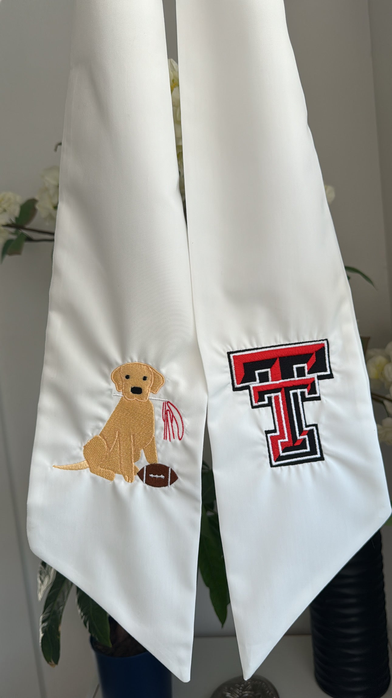 Texas Tech & Dog