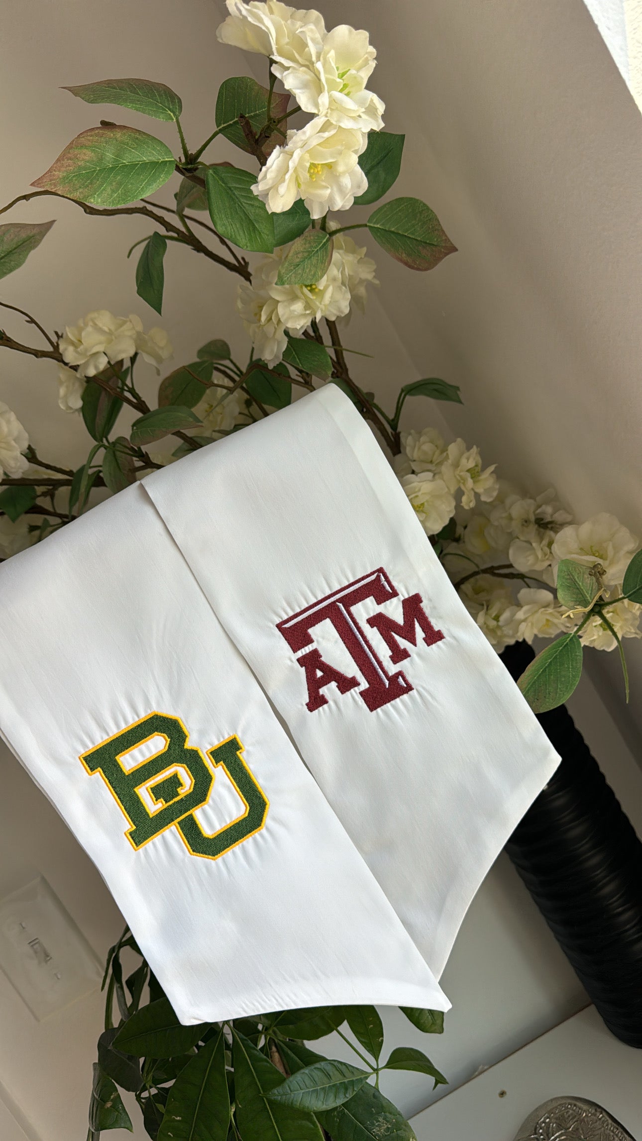 Baylor & A&M