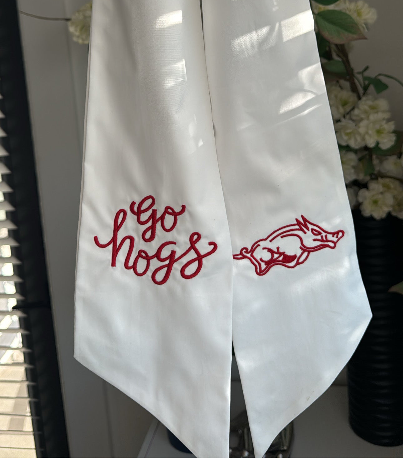 Go hogs & razorback