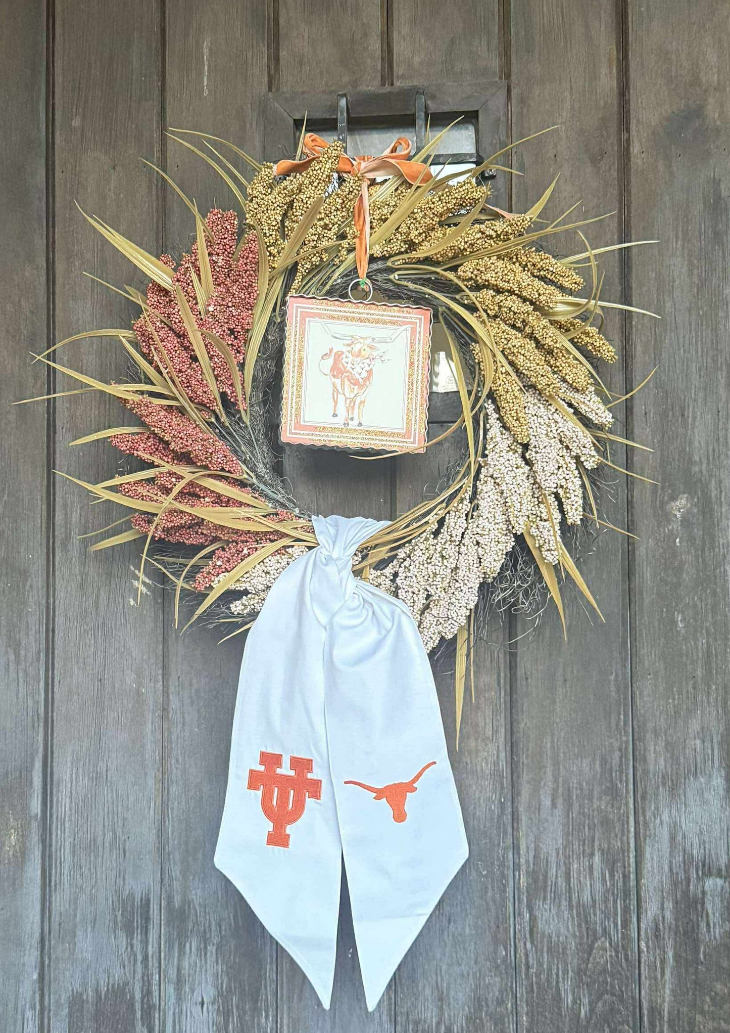 UT & longhorn