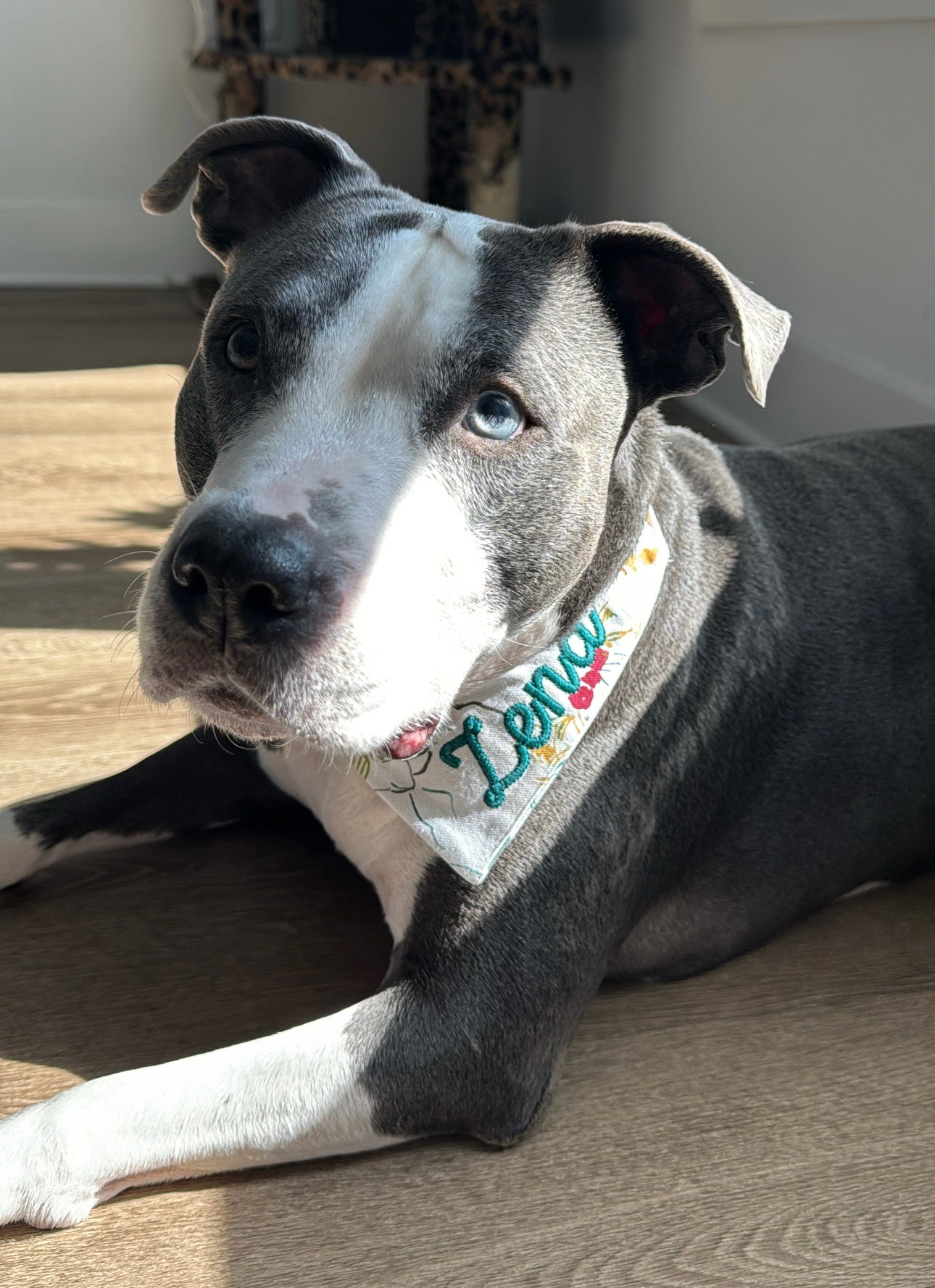 Bandannas