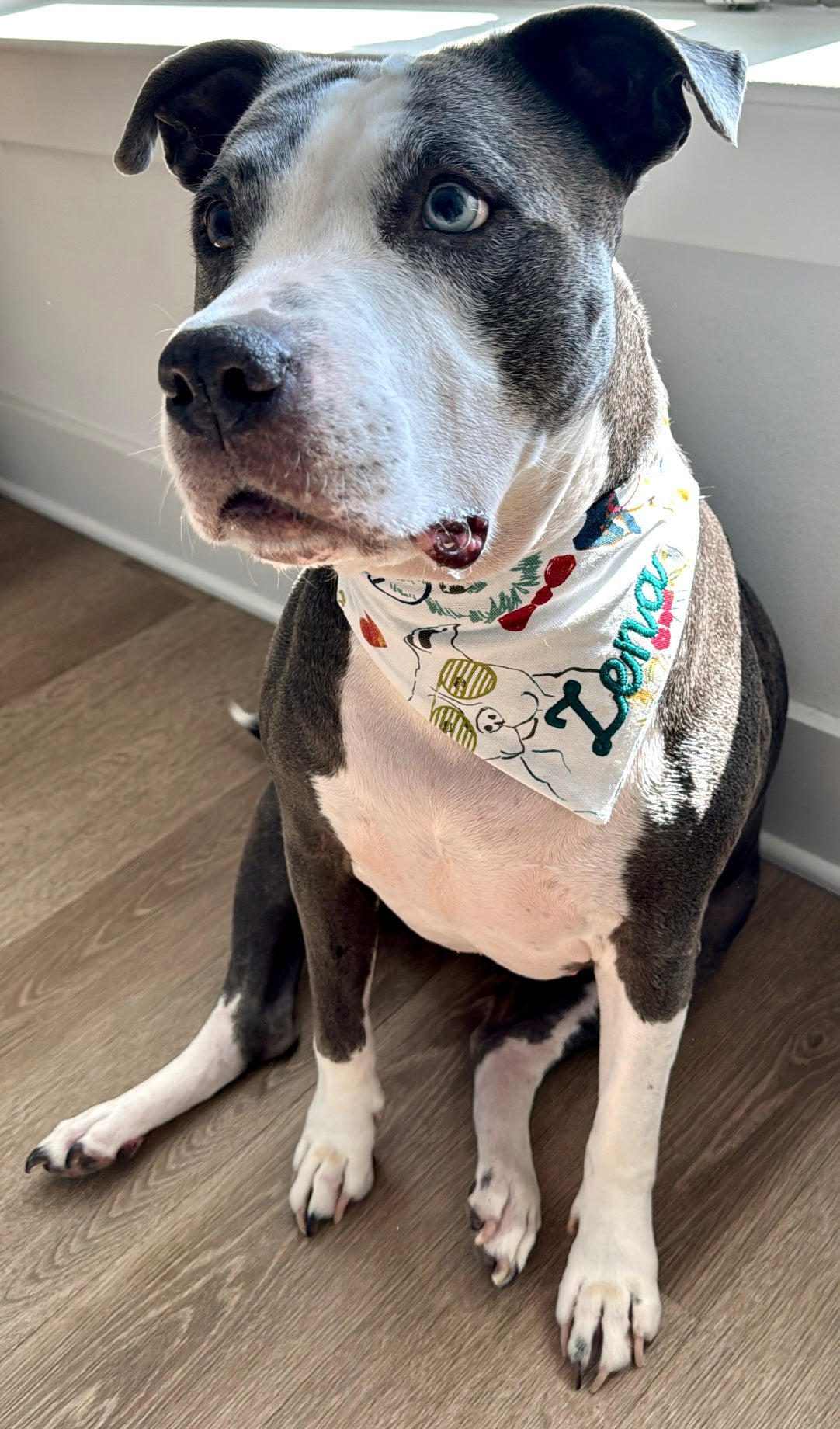 Bandannas