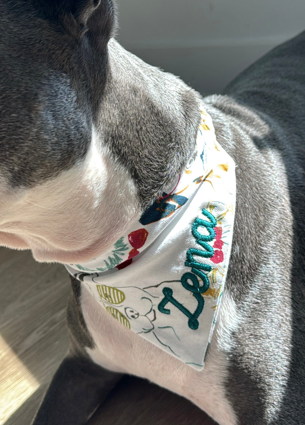 Bandannas