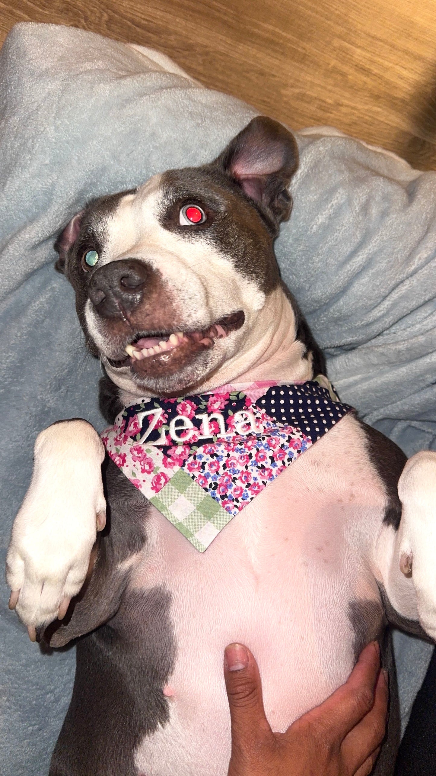 Bandannas