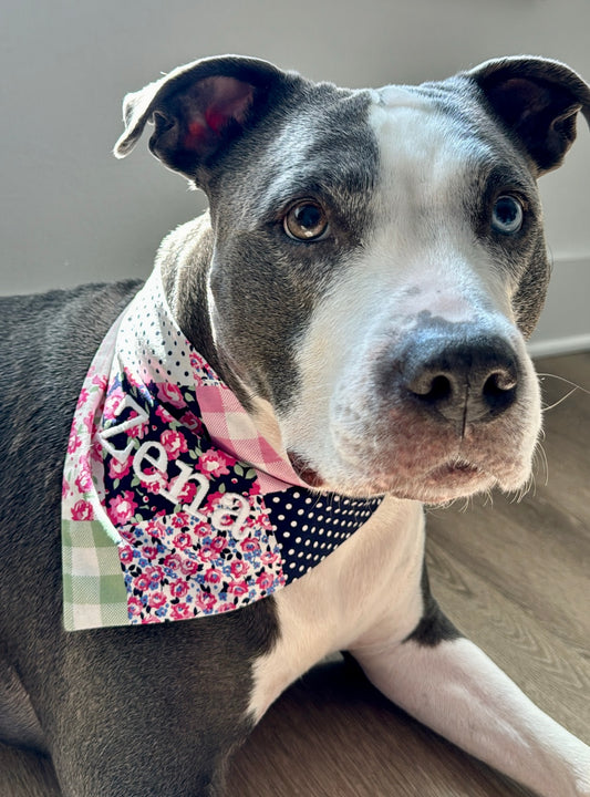 Scrunchie Dog Bandannas